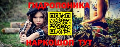 кокс Можга