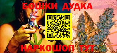 кокс Можга