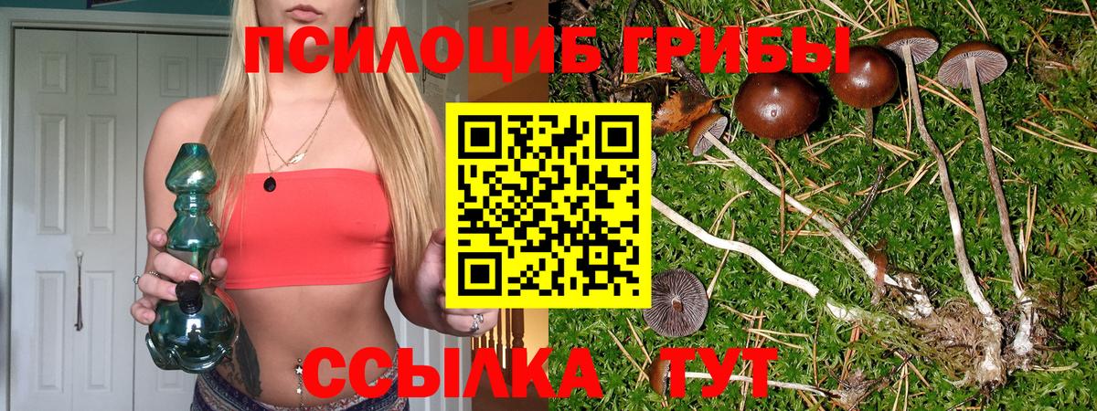 Углич  Псилоцибиновые грибы мухоморы  Псилоцибиновые грибы Magic Shrooms  Вход с VPN 
