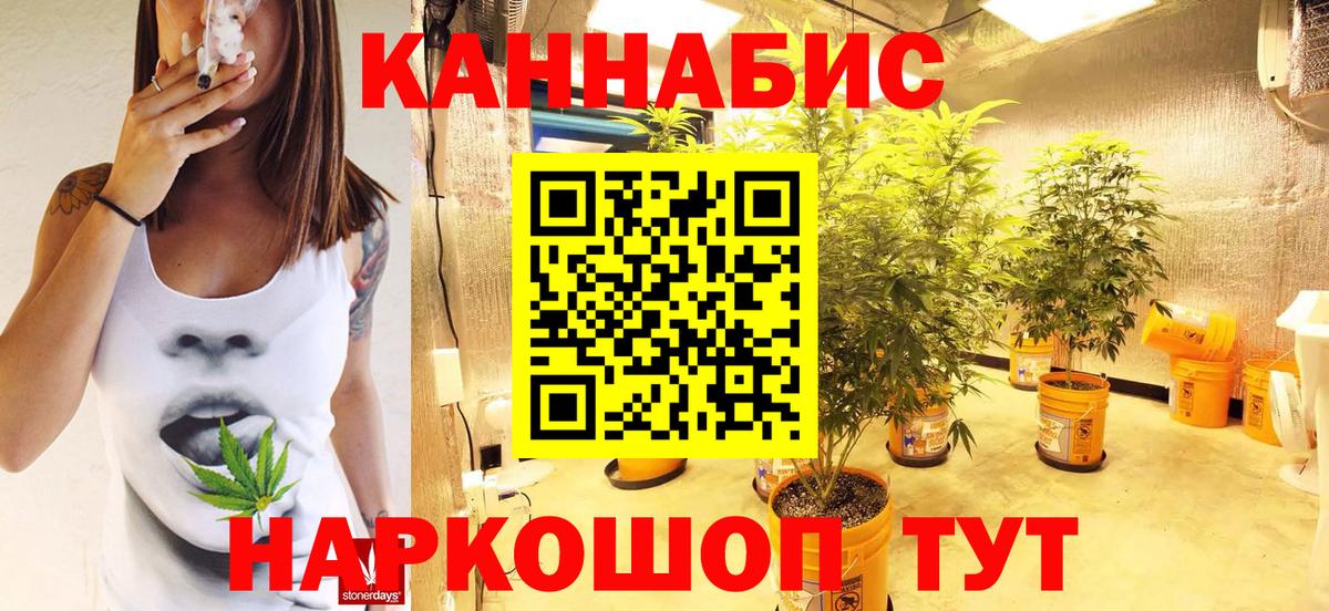 Бошки марихуана планчик  Бошки марихуана ГИДРОПОН  Бошки марихуана THC 21%  Углич  Вход с VPN  Конопля OG Kush 